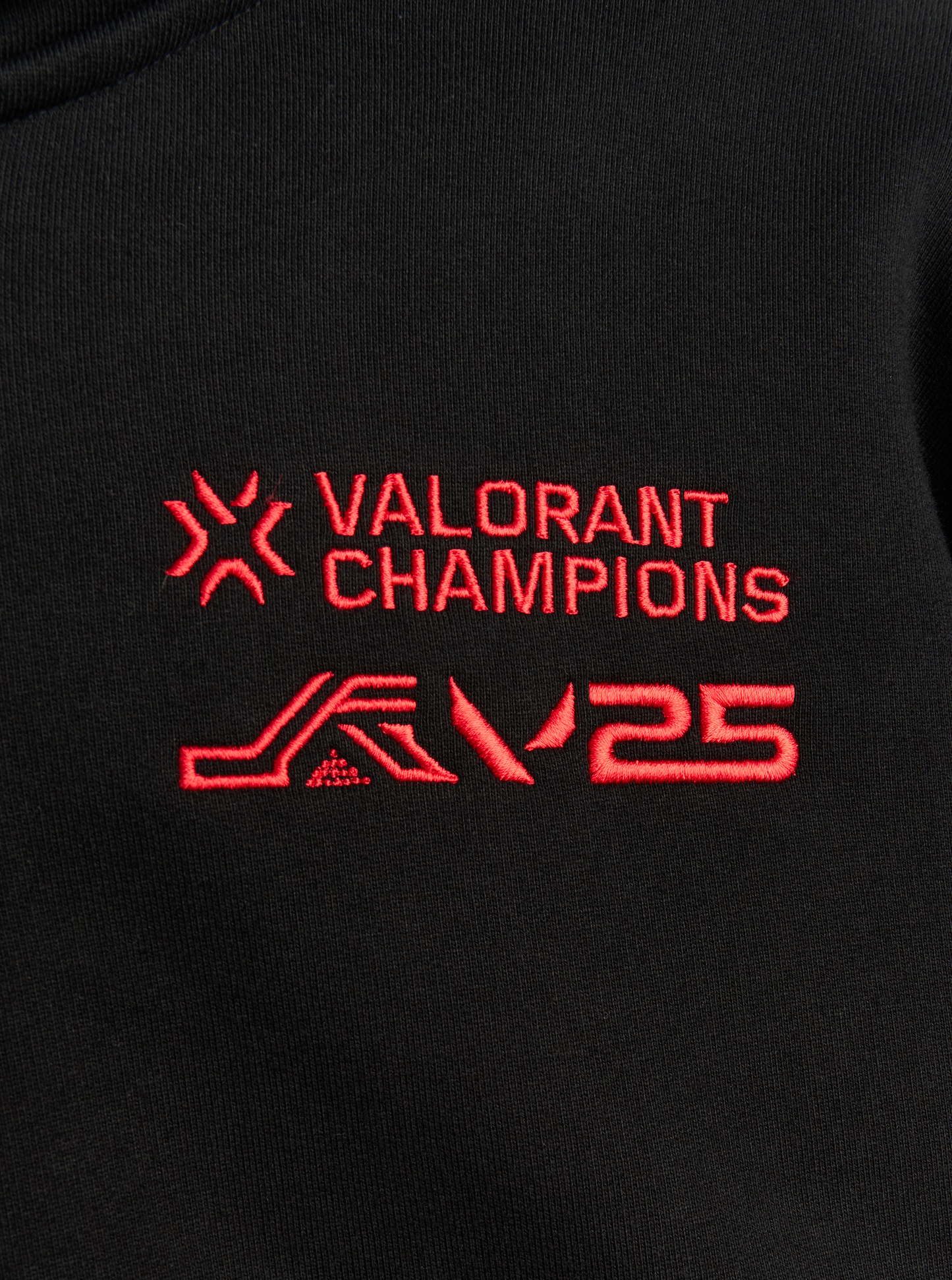 VALORANT Champions Tourᵀᴹ 2025 Born to Burn Zip Hoodie